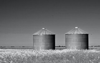 Natural vs. Managed Connections